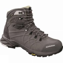 Mens Mercury Advanced High II LTH GTX